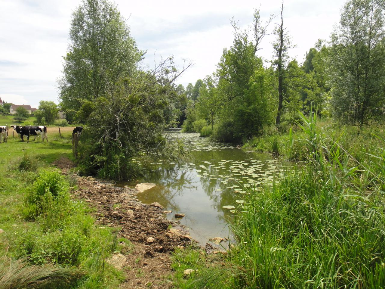 frayère1 avant travaux